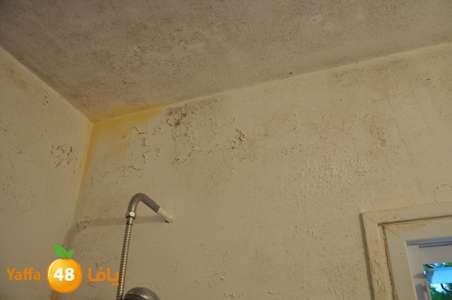 manzel7alamish523 (12).JPG